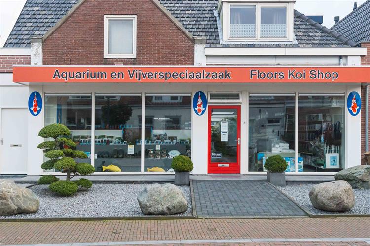 Floors Koi Shop