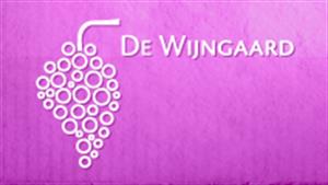 Evangeliegemeente De Wijngaard