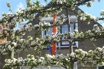 Koningsdag